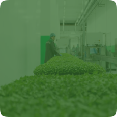 Farm Management System